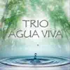 Trio Agua Viva - Trio Agua Viva